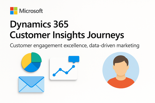 Dynamics 365 Customer Insights Hero
