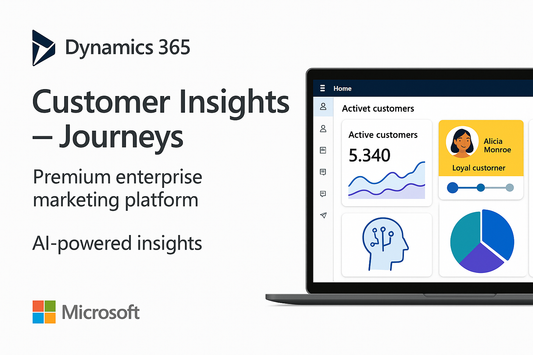 Dynamics 365 Customer Insights T2 Hero